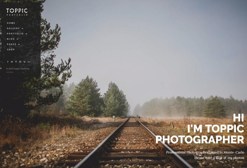 TopPic – WordPress Photography Portfolio Theme – Demo 3-compressed