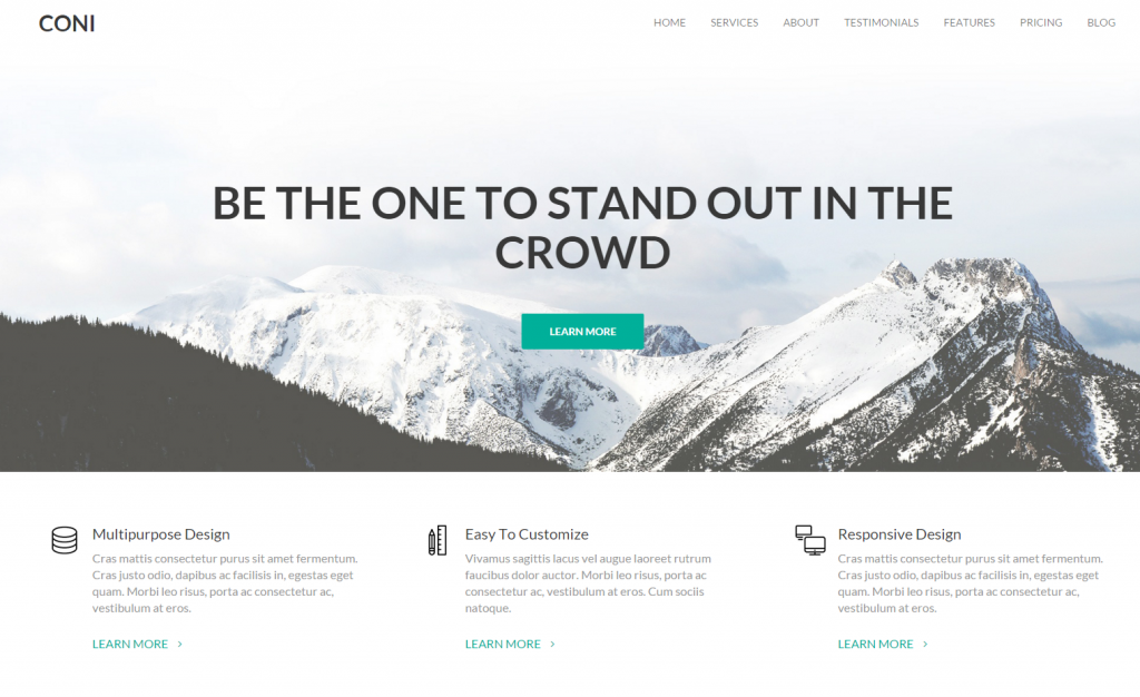 Coni – WordPress Theme