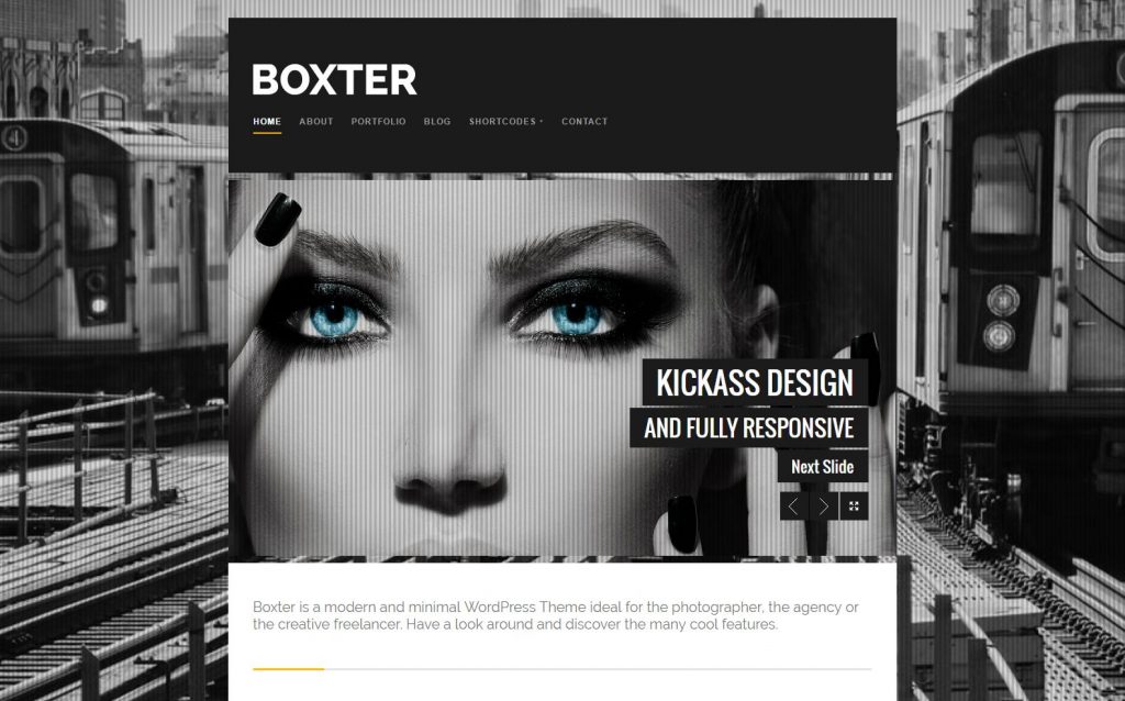 boxter-wordpress-theme-demo-light-just-another-udthemes-demo-compressed
