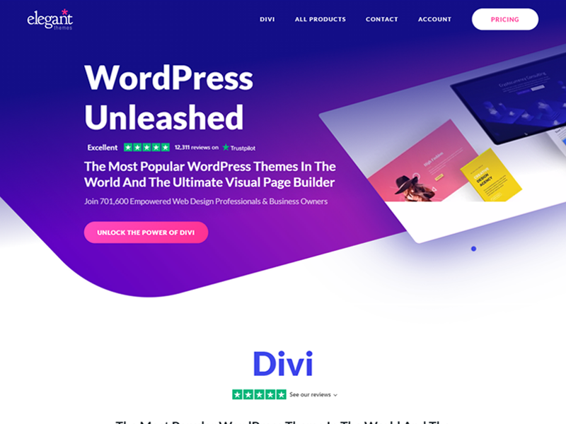 Divi: Easiest WordPress Theme to Customize