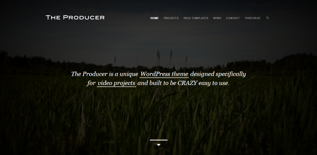 the-producer-just-another-the-molitor-themes-site
