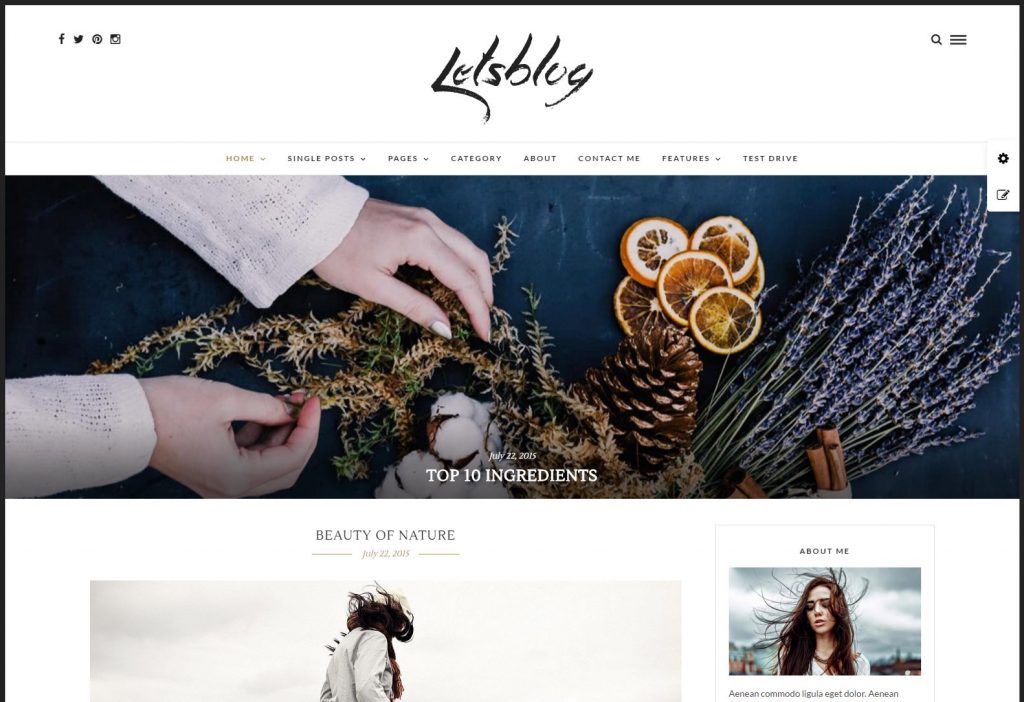 Lets Blog Responsive WordPress Blog Theme – Just another WordPress site-compressed