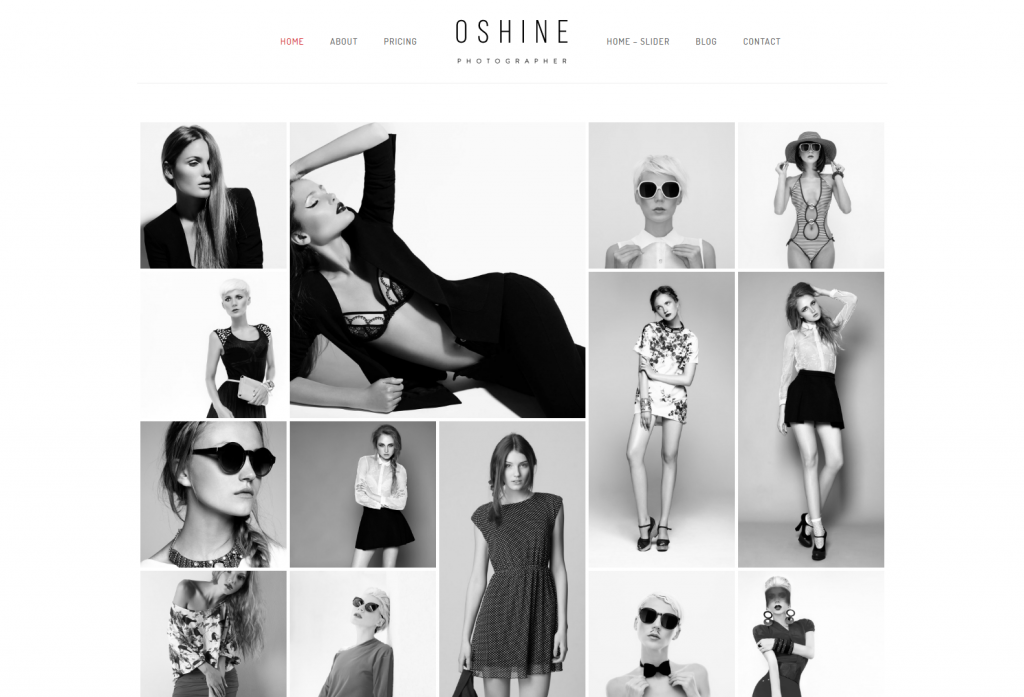 Oshine – Grayscale – Oshine – Best Portfolio Photography WordPress theme