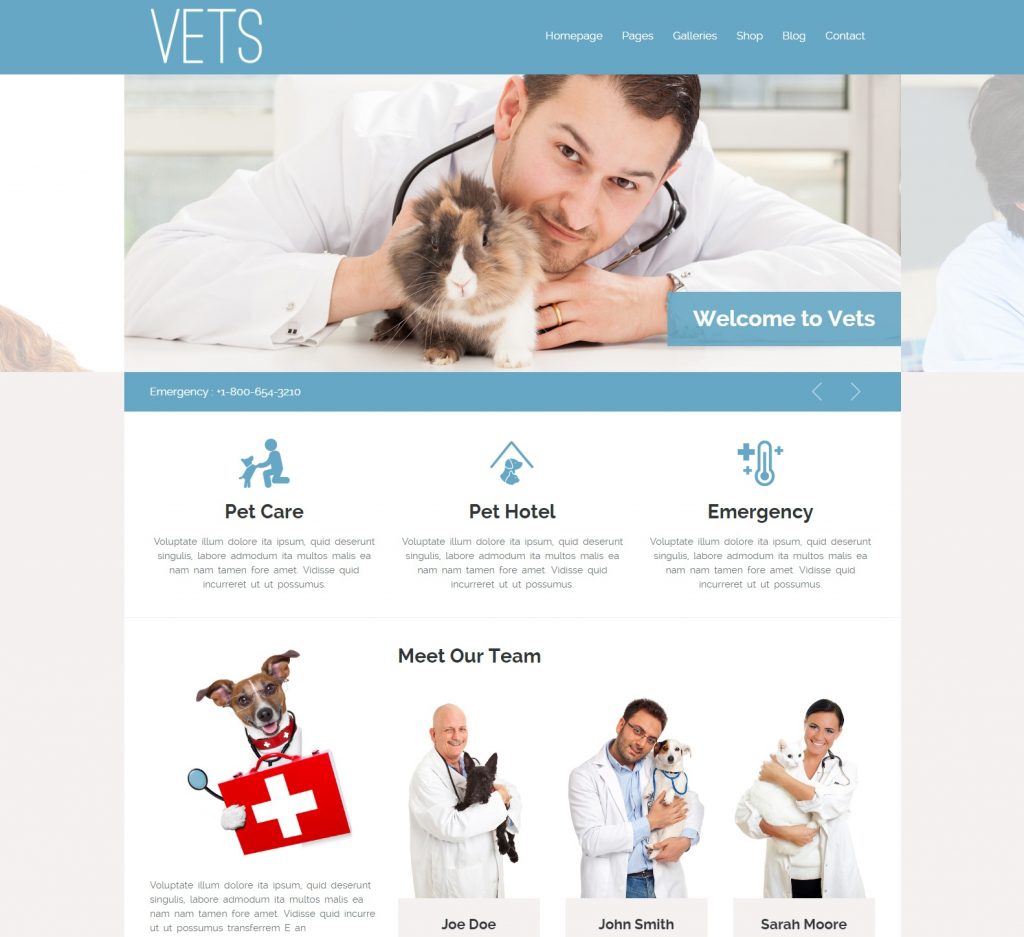VETS Veterinary Medical Health Clinic Theme WordPress Theme-compressed