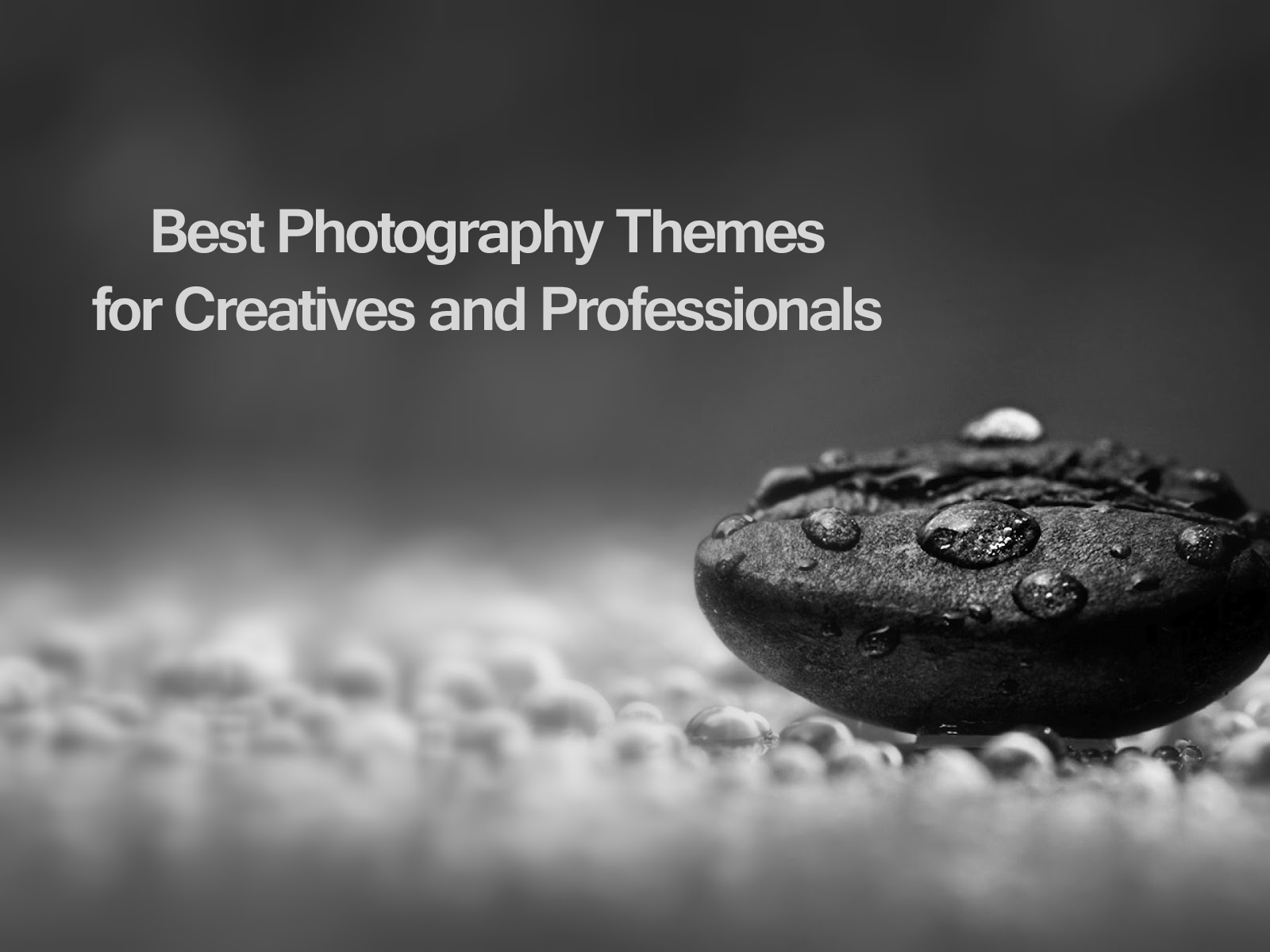 21 Best Photography WordPress Themes 2024 (Minimalist Design)