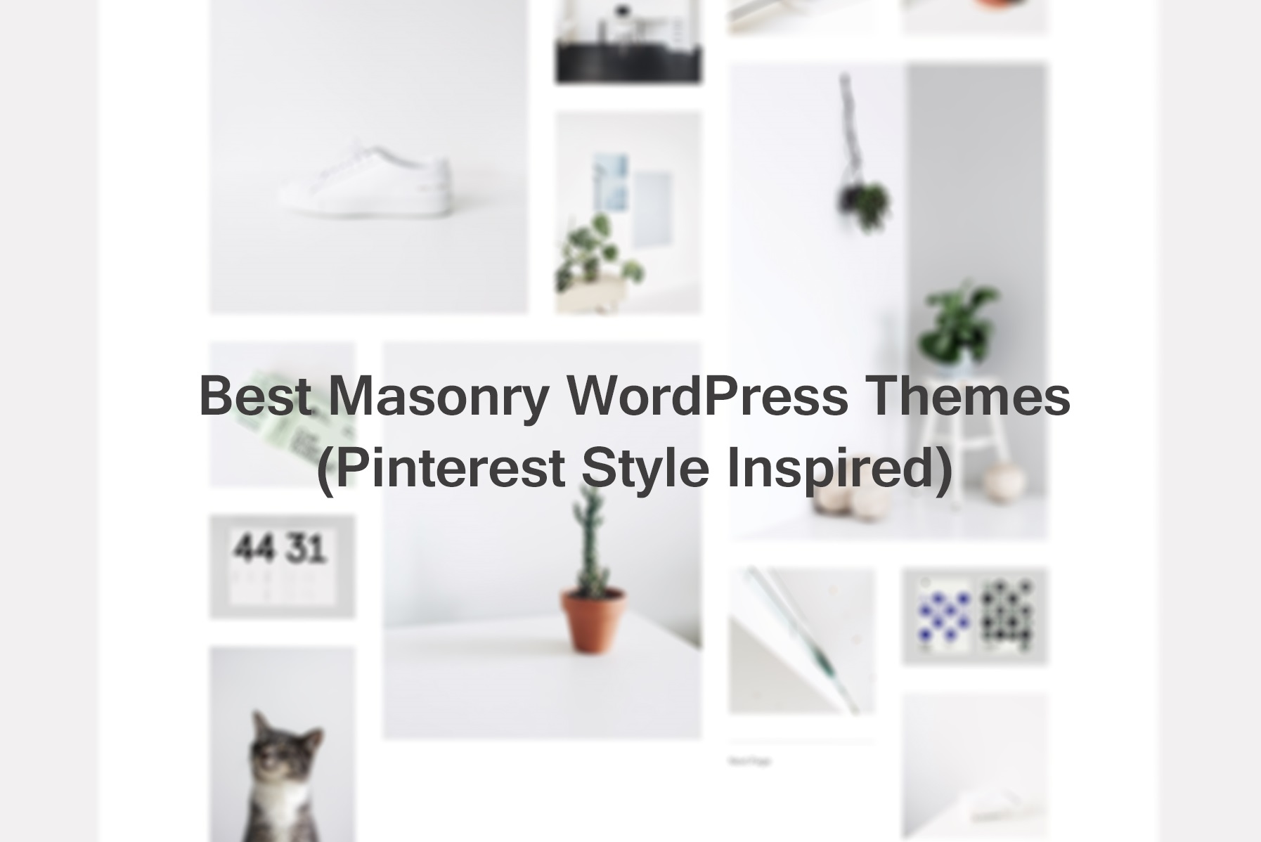 20+ Masonry WordPress Themes Beautifully Designed 2022