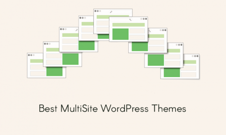 25+ Best WordPress Multisite Themes 2023