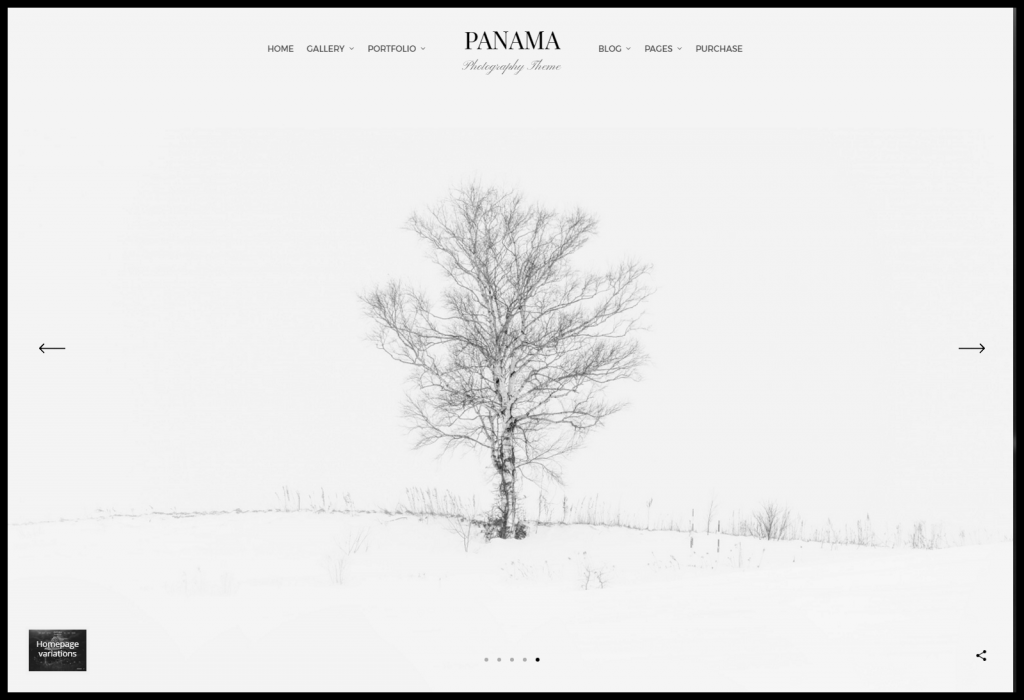 screenshot-panama.bwdesk.com-2017-04-12-15-23-20 (1)