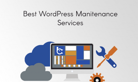 20 Best WordPress Maintenance Services 2024
