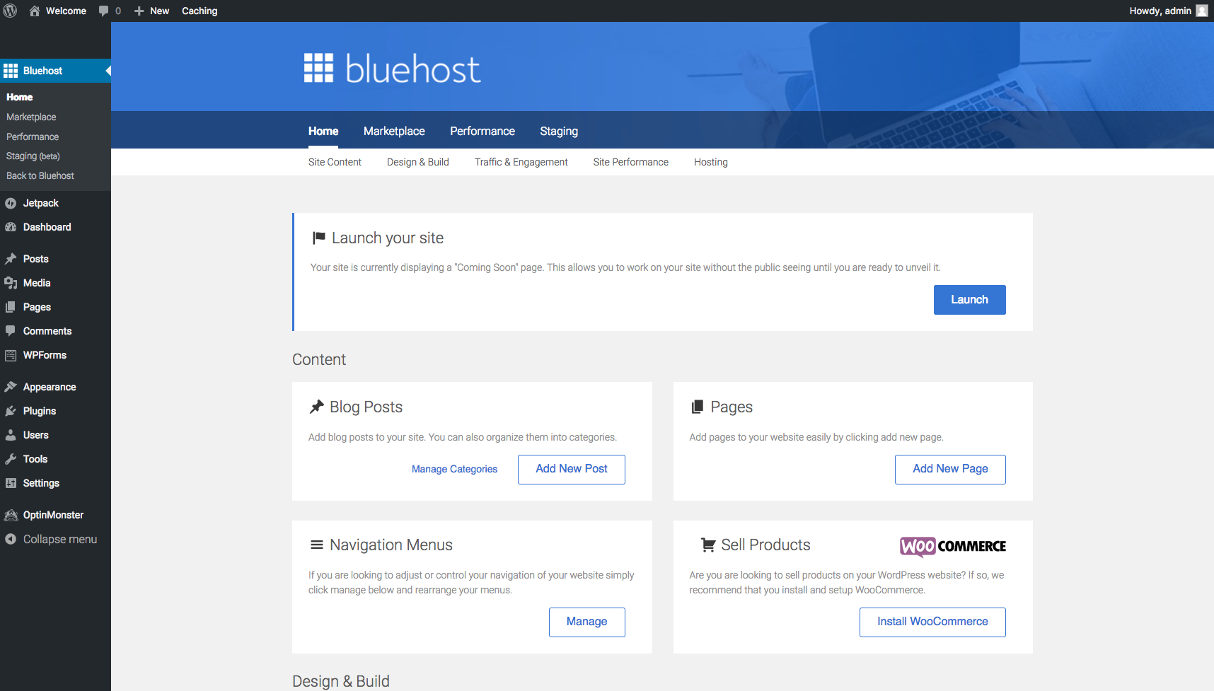 Bluehost WordPress panel