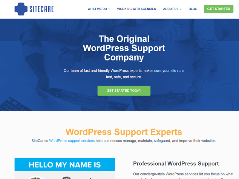 WP Site Care