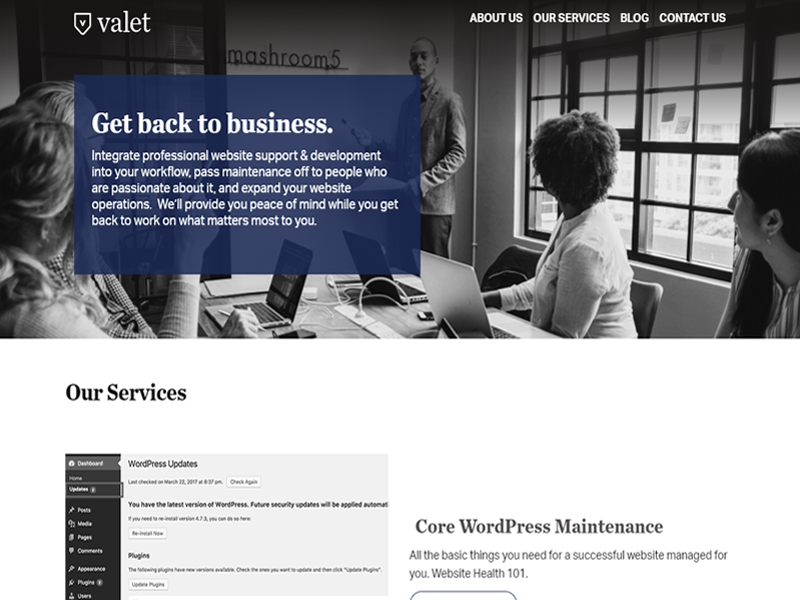 Valet wordpress website maintenance