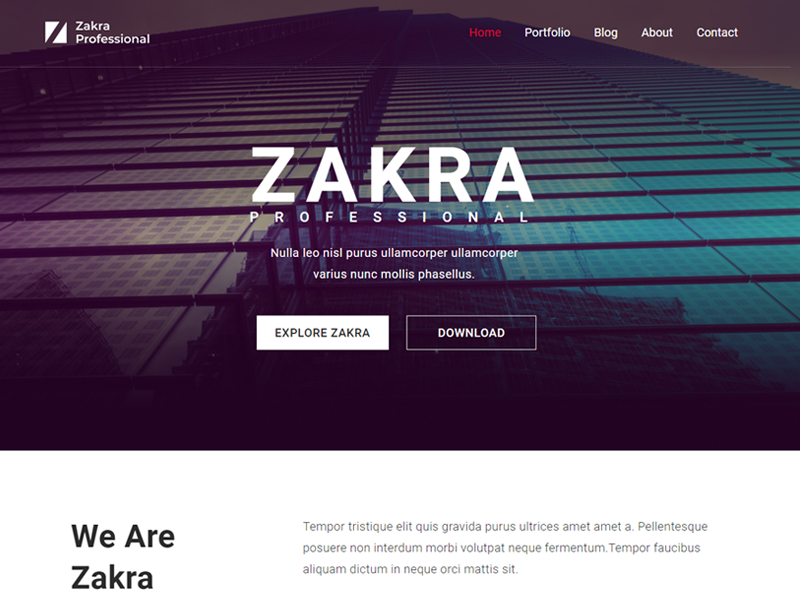 Zakra Demo