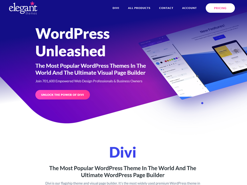 Divi theme: WordPress Portfolio Themes