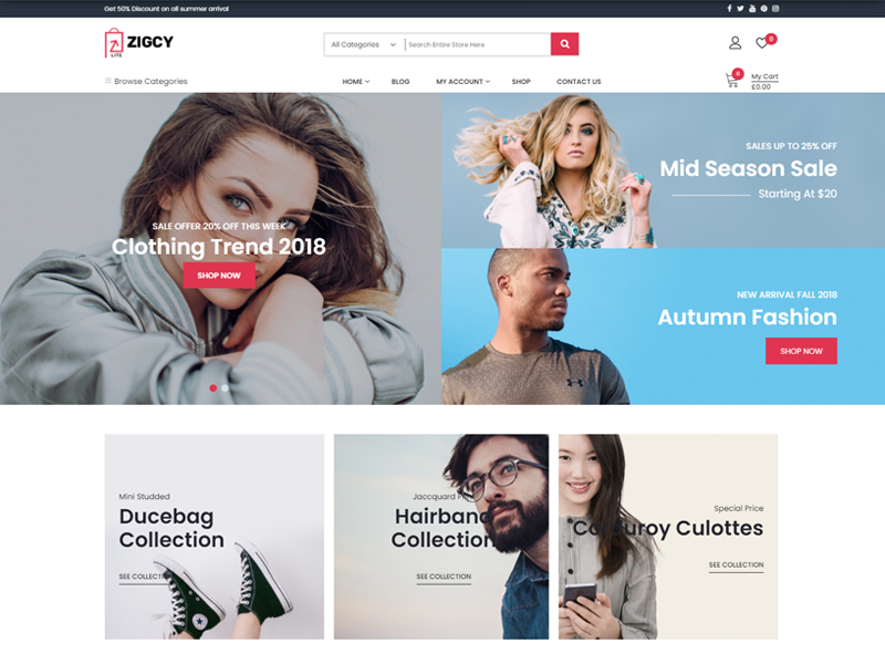 Zigcy Shop template