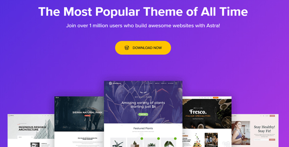 Most Popular WordPress Theme