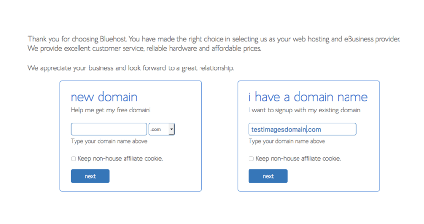 Configuring Bluehost with WordPress: new domain