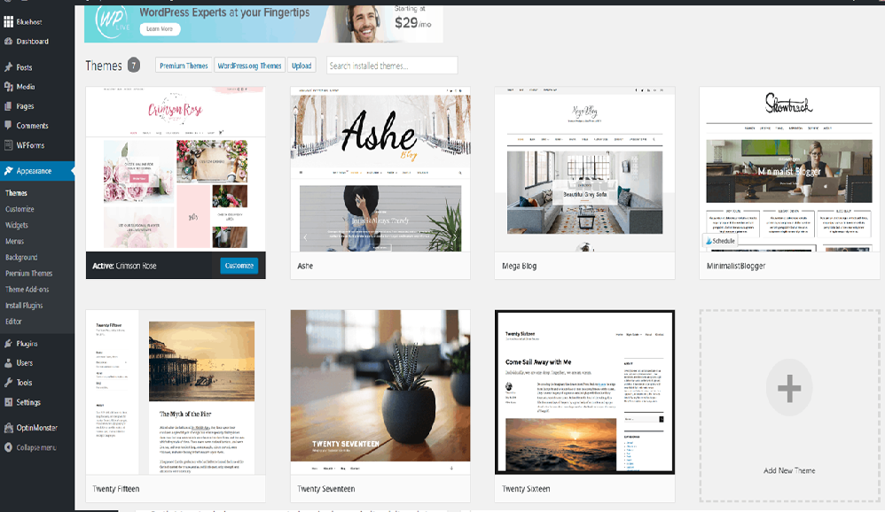 Choose WordPress Theme: Activation