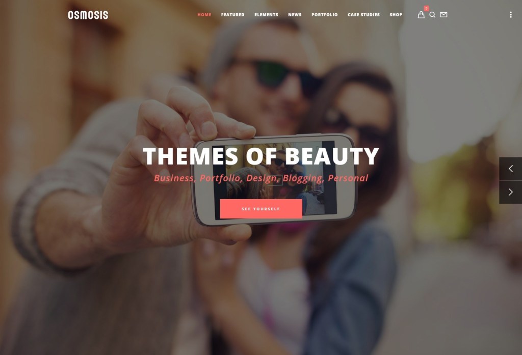 Osmosis wordpress themes with parallax