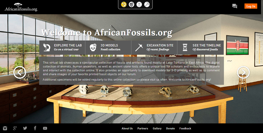 African Fossils