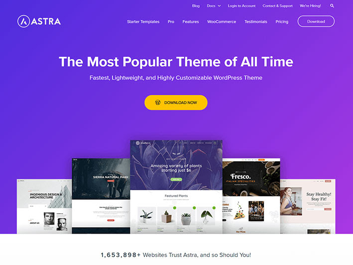 30 Most SEO-Friendly WordPress Themes with Fast Loading 2024