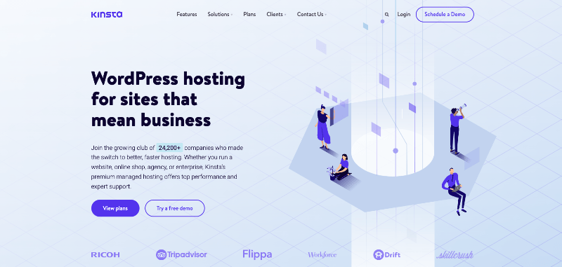 kinsta home page