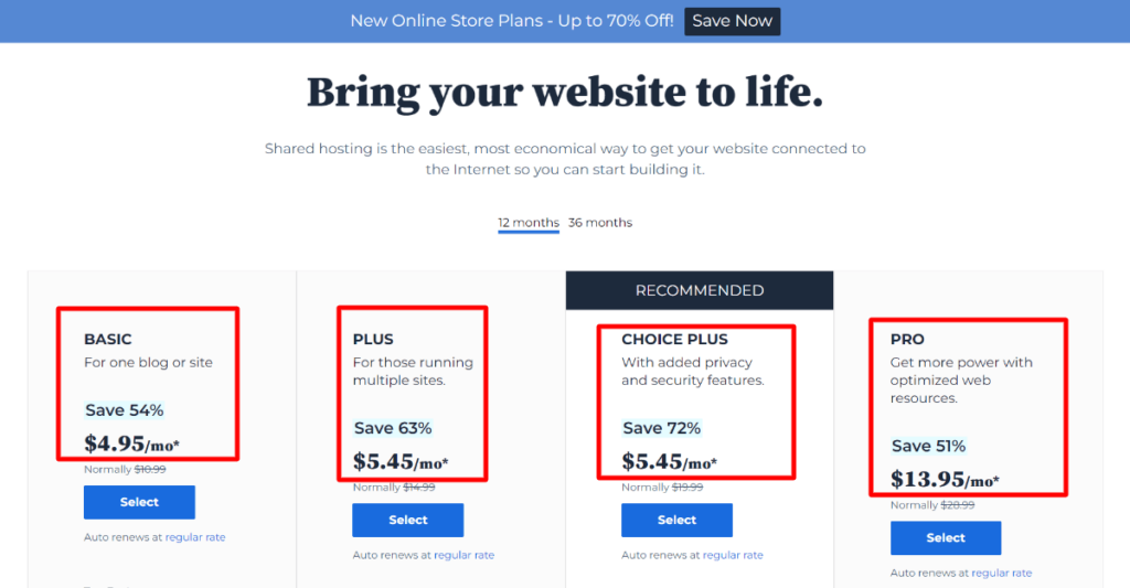 bluehost pricing

