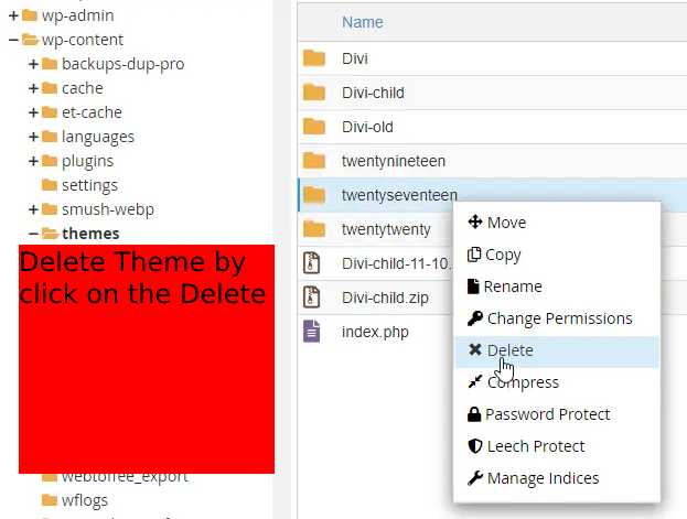 Delete WordPress Theme via cPanel file manager