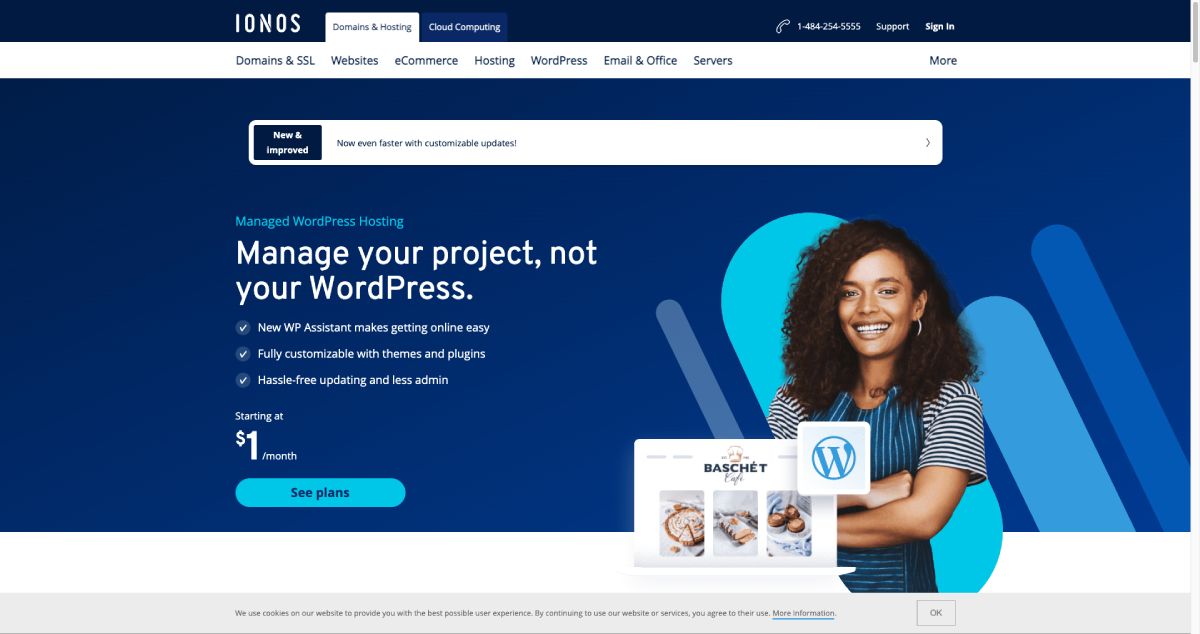 1&1 IONOS: Managed WordPress on a Budget (Review)