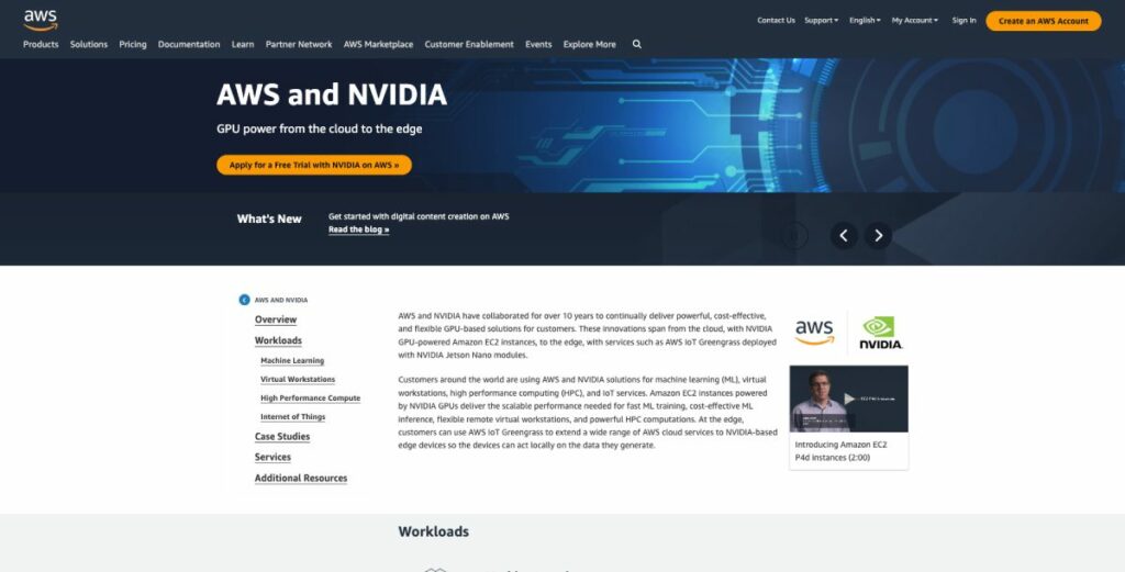 AWS GPU hosting