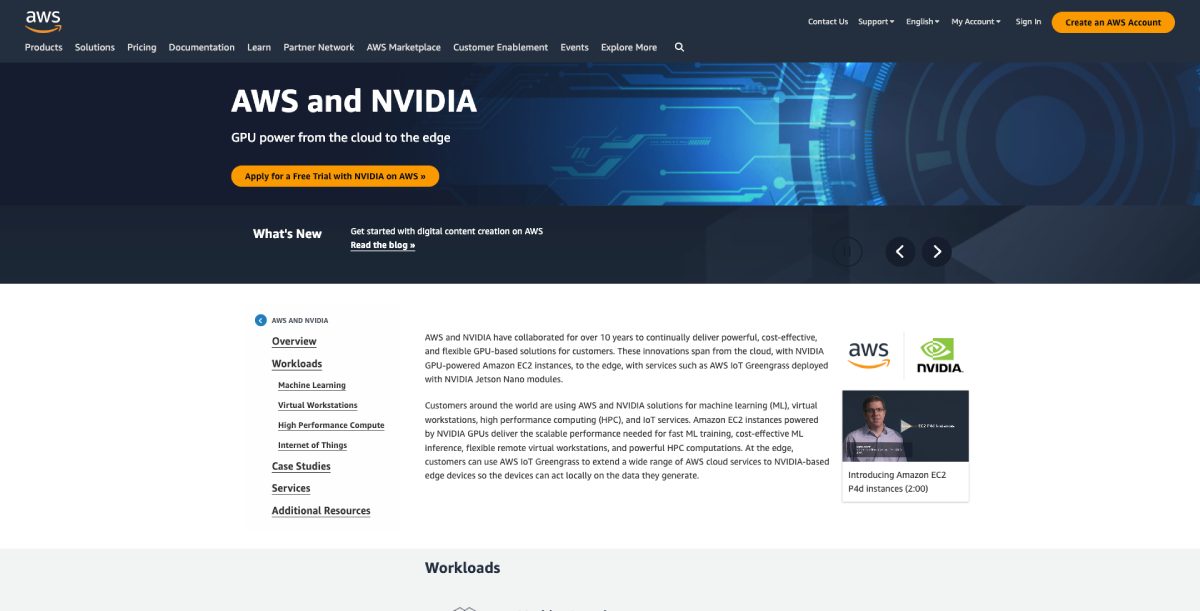 9 Best GPU Hosting Providers 2024 Codeless
