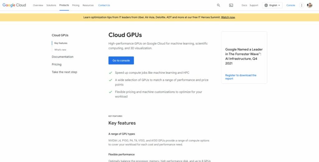 Google Cloud GPU Hosting