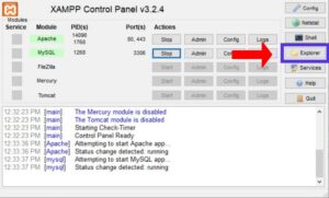 default phpmyadmin password