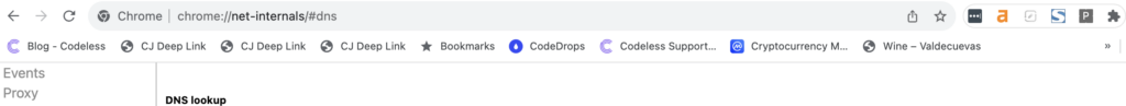 access chrome://net-internals/#dns