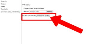 Chrome://net-internals/#dns: Clear Chrome DNS Cache - Codeless